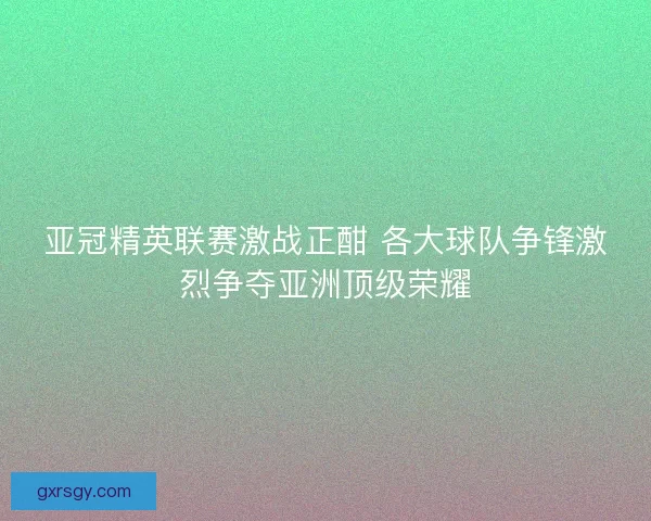亚冠精英联赛激战正酣 各大球队争锋激烈争夺亚洲顶级荣耀