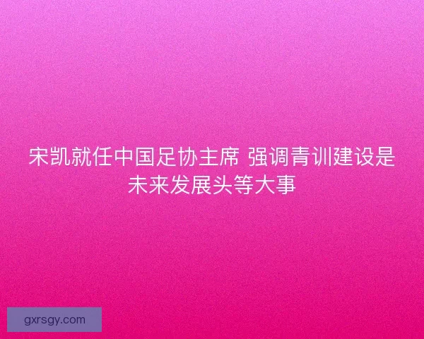 宋凯就任中国足协主席 强调青训建设是未来发展头等大事