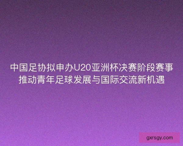 中国足协拟申办U20亚洲杯决赛阶段赛事推动青年足球发展与国际交流新机遇