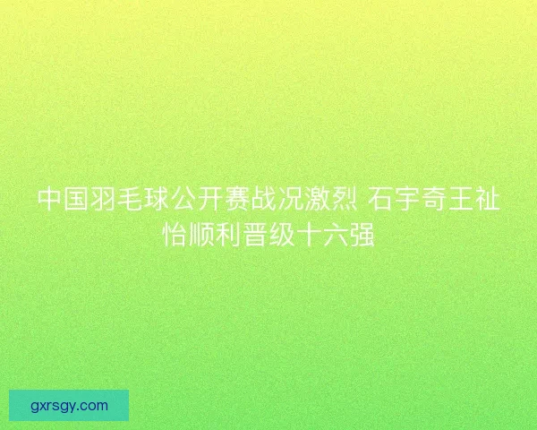 中国羽毛球公开赛战况激烈 石宇奇王祉怡顺利晋级十六强